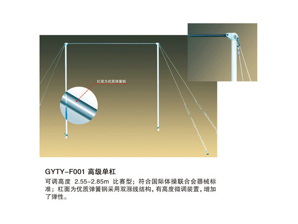 GYTY-F001高級單杠